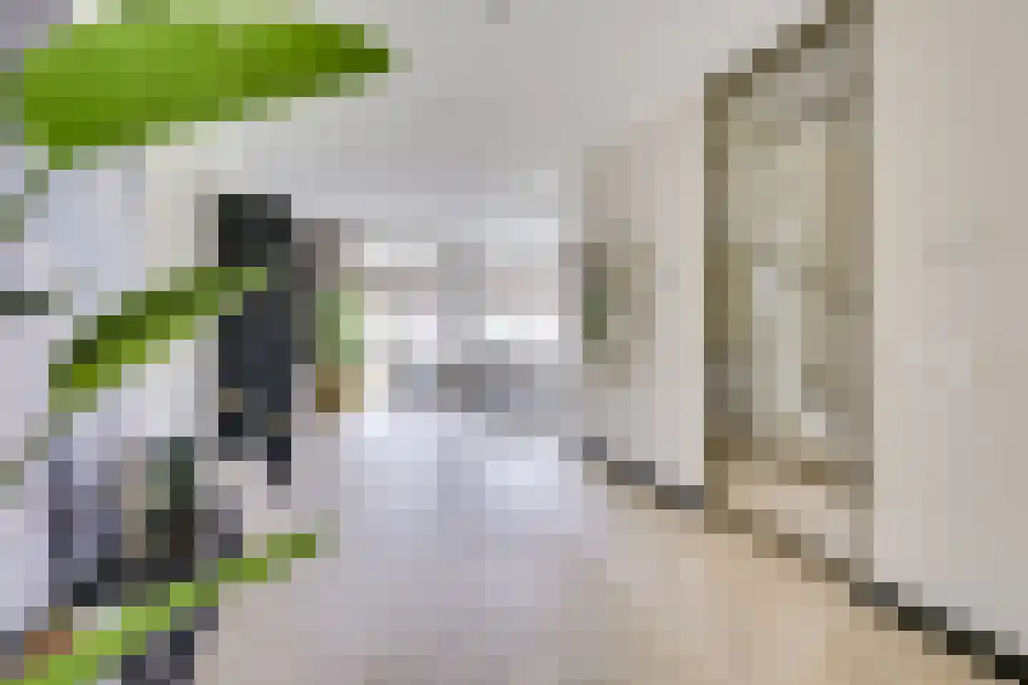 Kamgras 163 Houten thumbnail 4