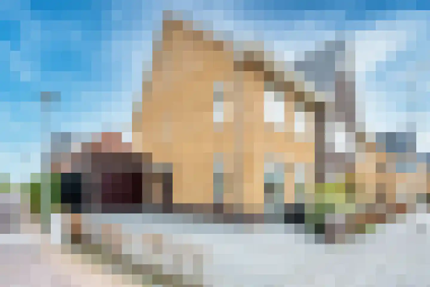 Kamgras 163 Houten thumbnail 47