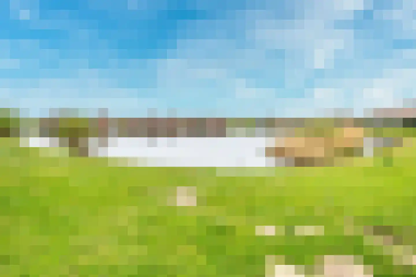 Kamgras 163 Houten thumbnail 48
