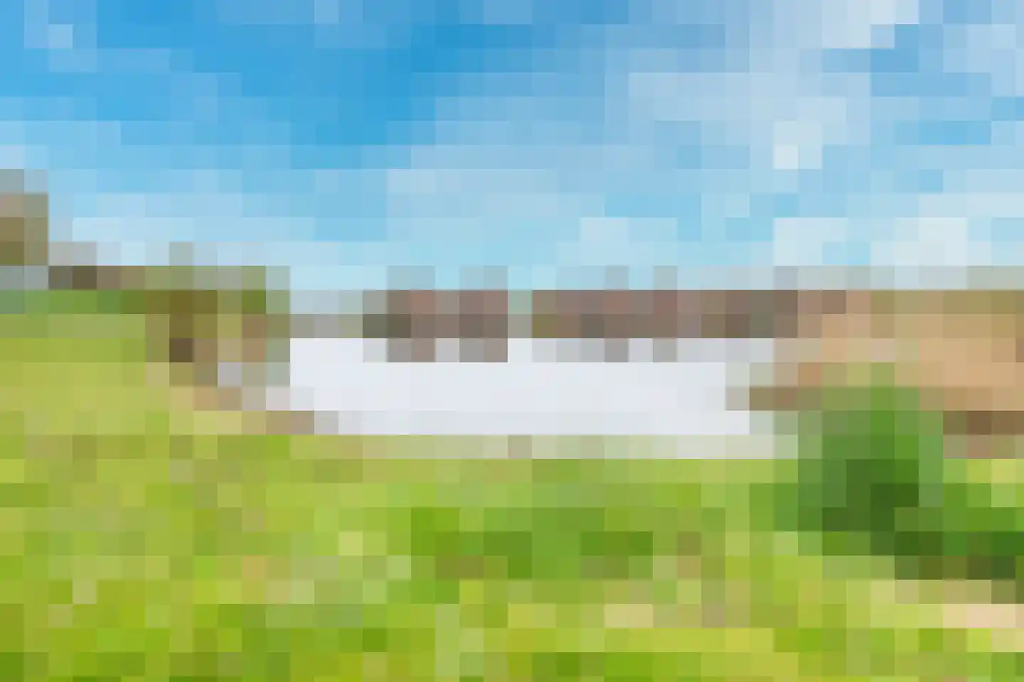 Kamgras 163 Houten thumbnail 49