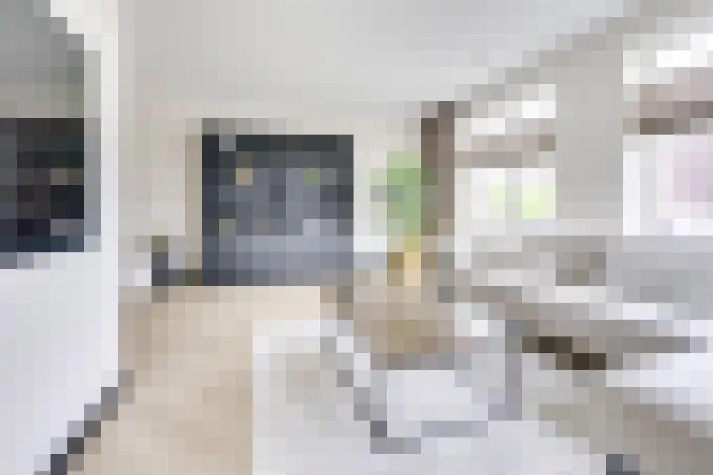 Kamgras 163 Houten thumbnail 8