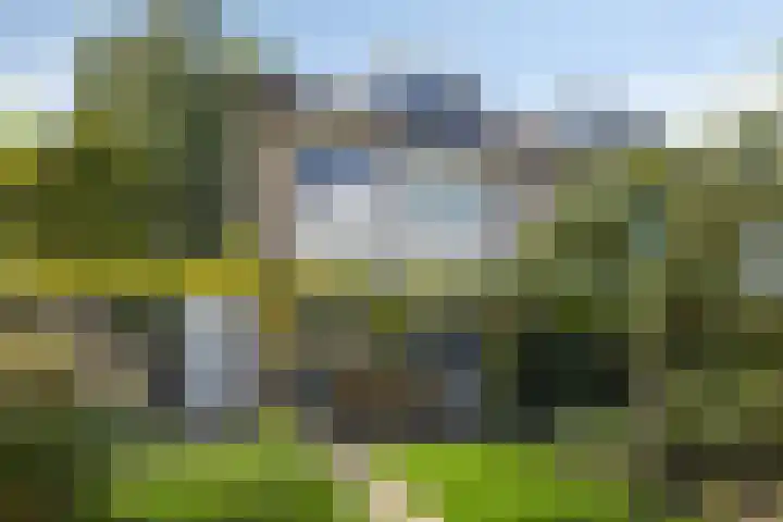 Kamgras 17 Veenendaal thumbnail 5