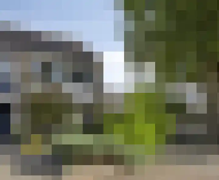 Kamgras 17 Veenendaal thumbnail 6