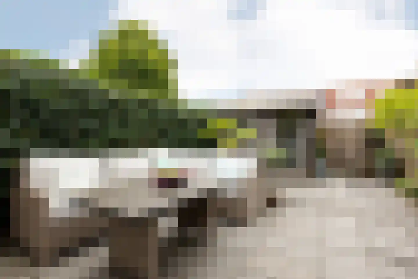Kamgras 18 Haastrecht thumbnail 4