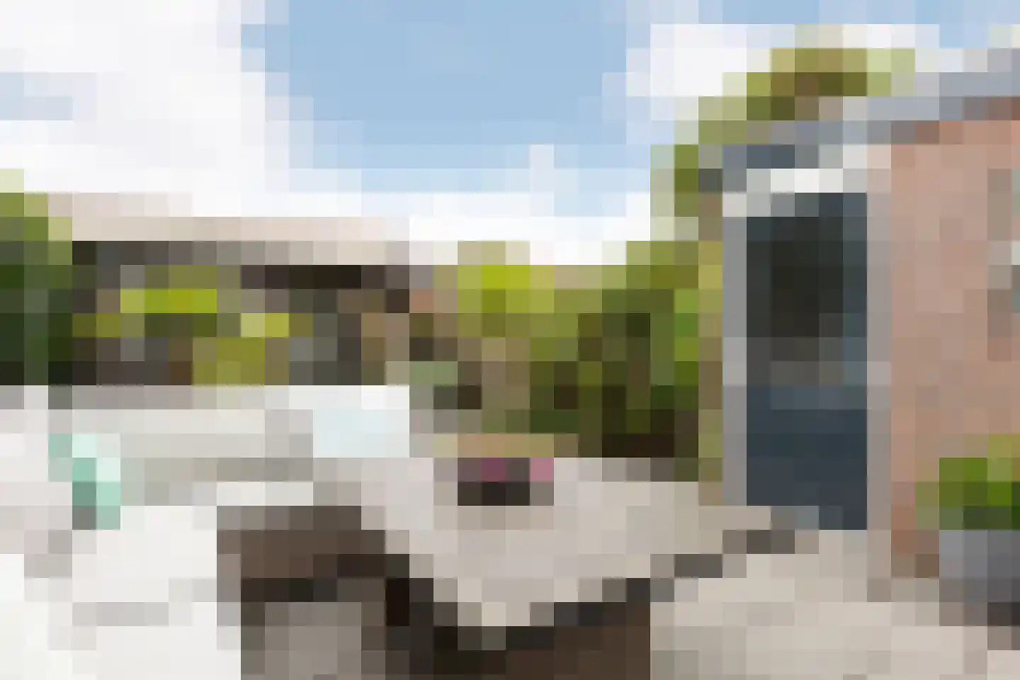 Kamgras 18 Haastrecht thumbnail 46
