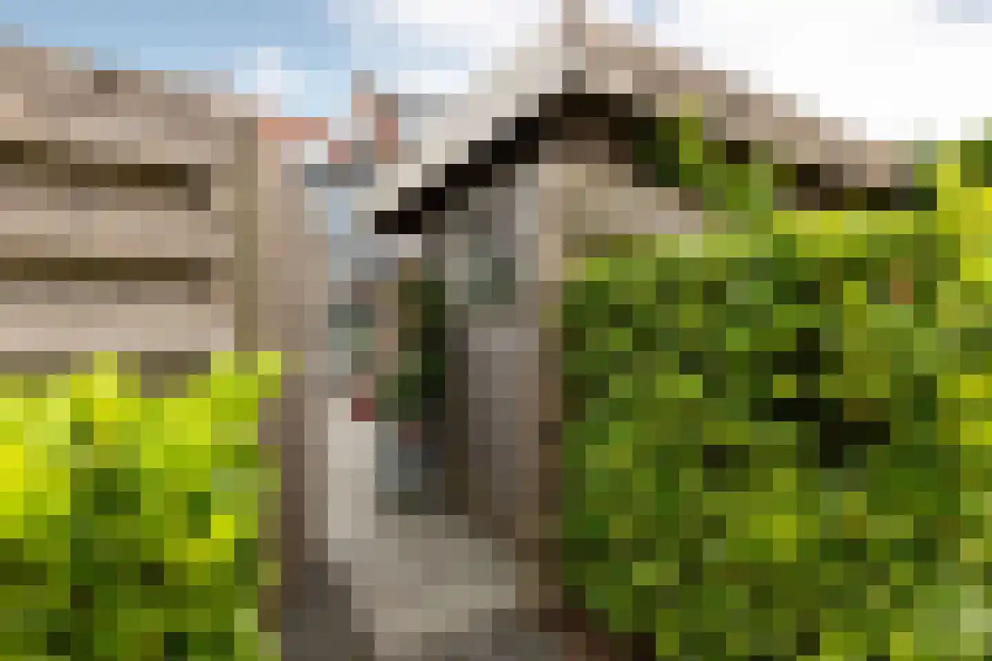 Kamgras 18 Haastrecht thumbnail 50