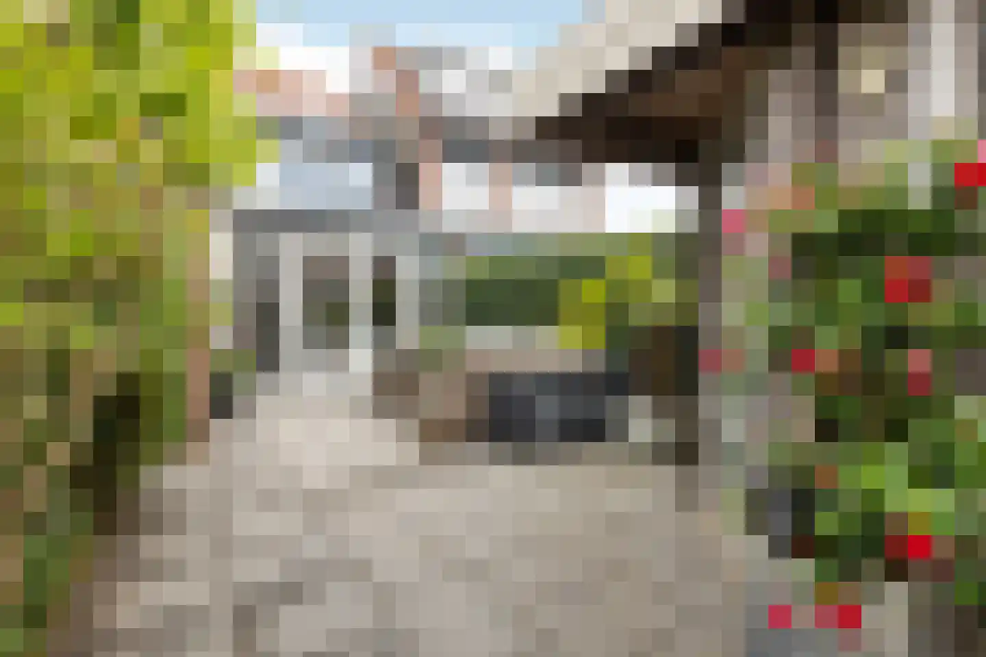 Kamgras 18 Haastrecht thumbnail 51