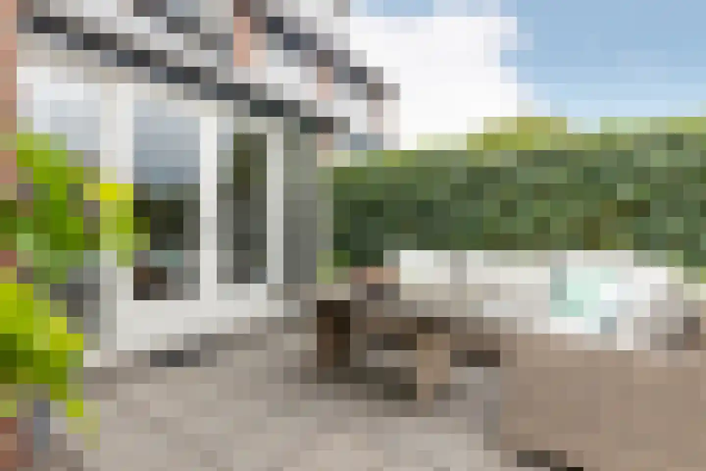 Kamgras 18 Haastrecht thumbnail 53