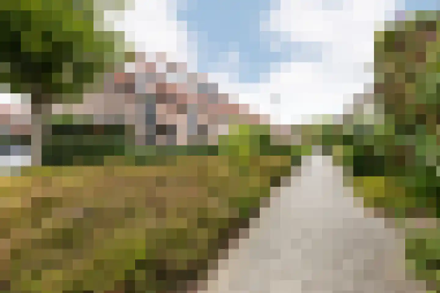 Kamgras 18 Haastrecht thumbnail 55