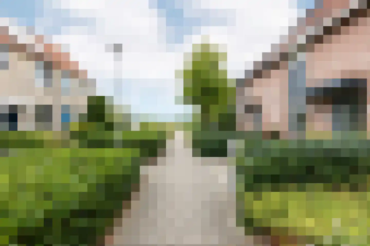Kamgras 18 Haastrecht thumbnail 56