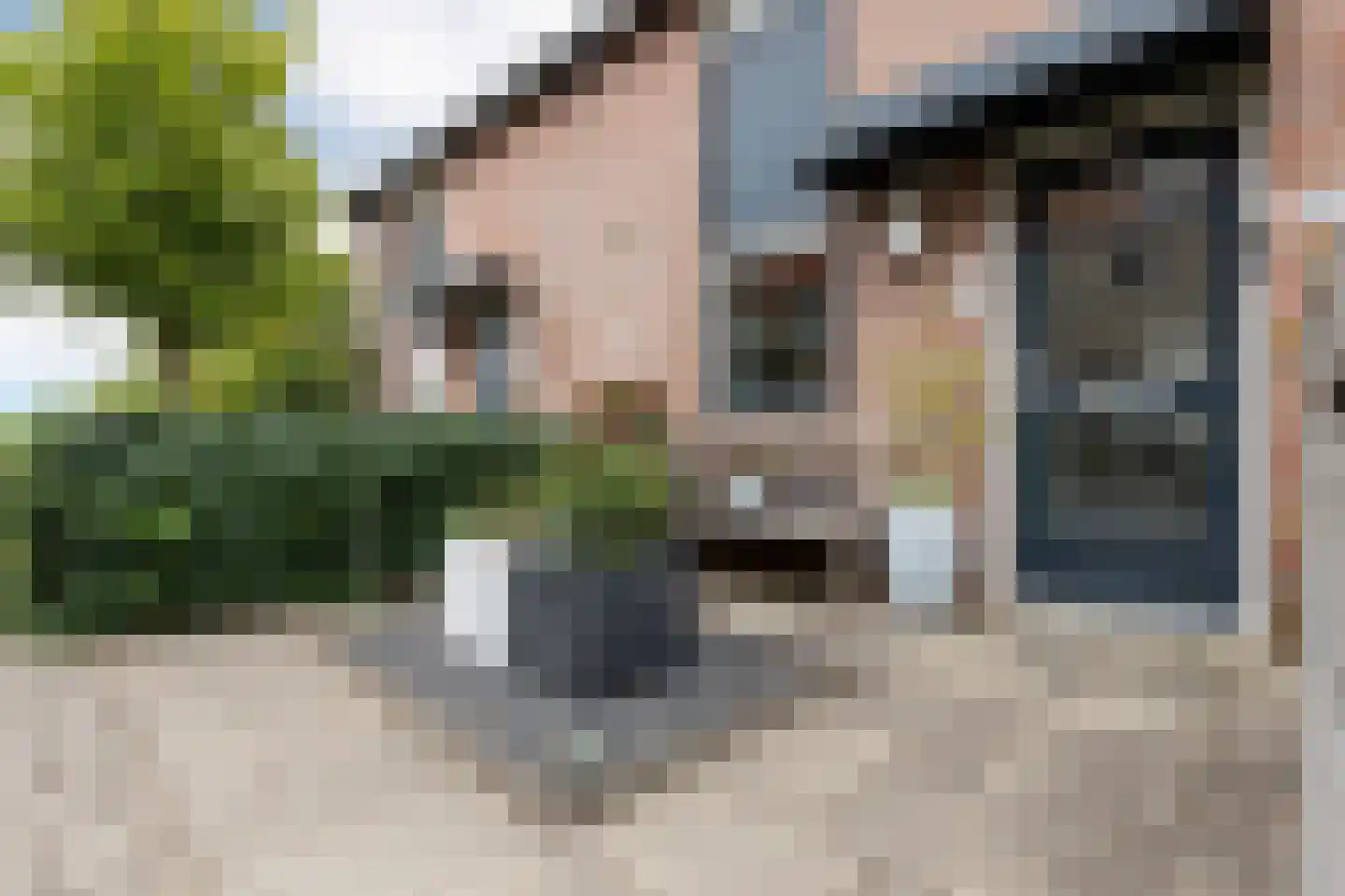 Kamgras 18 Haastrecht thumbnail 6