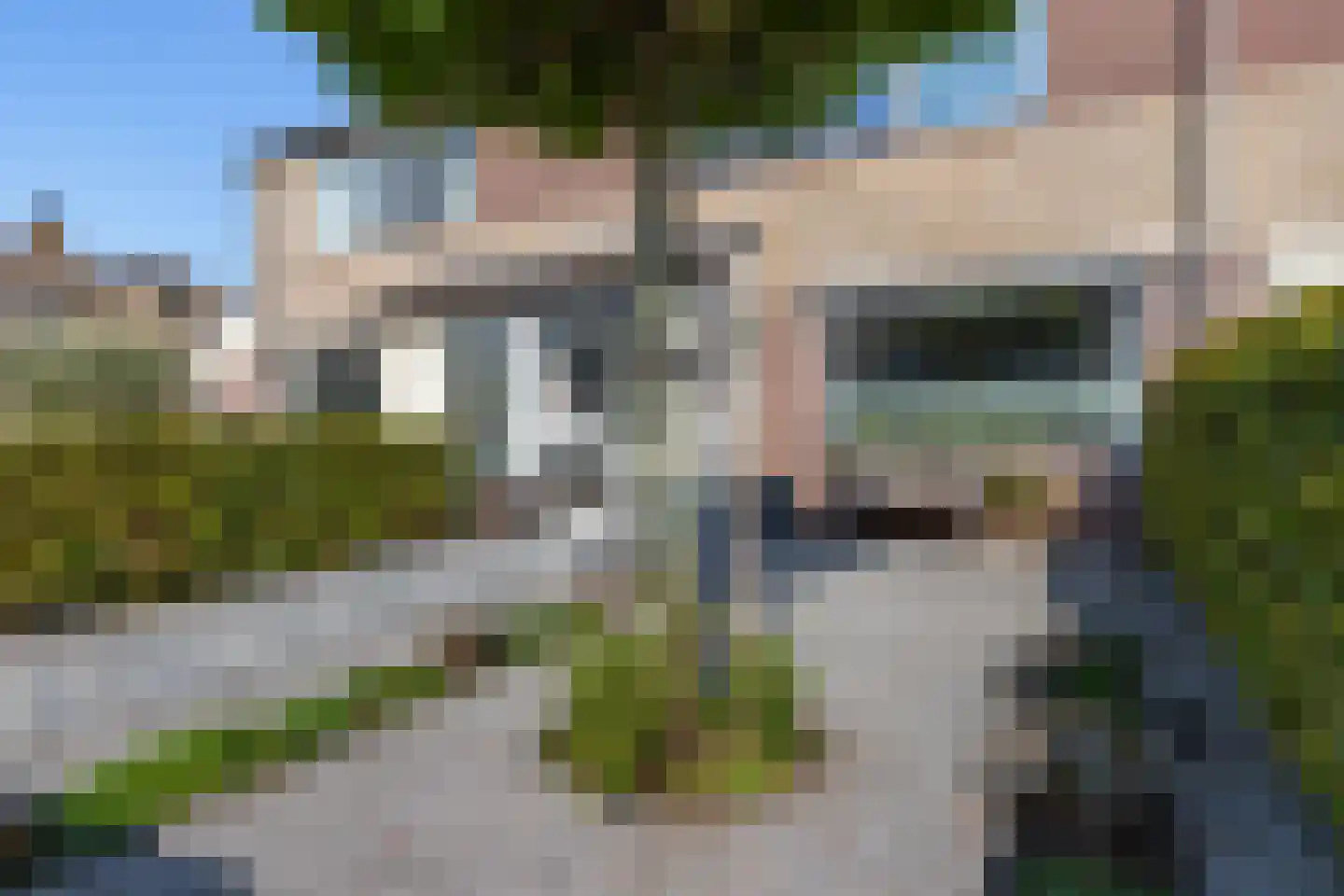 Kamgras 19 Gouda thumbnail 10