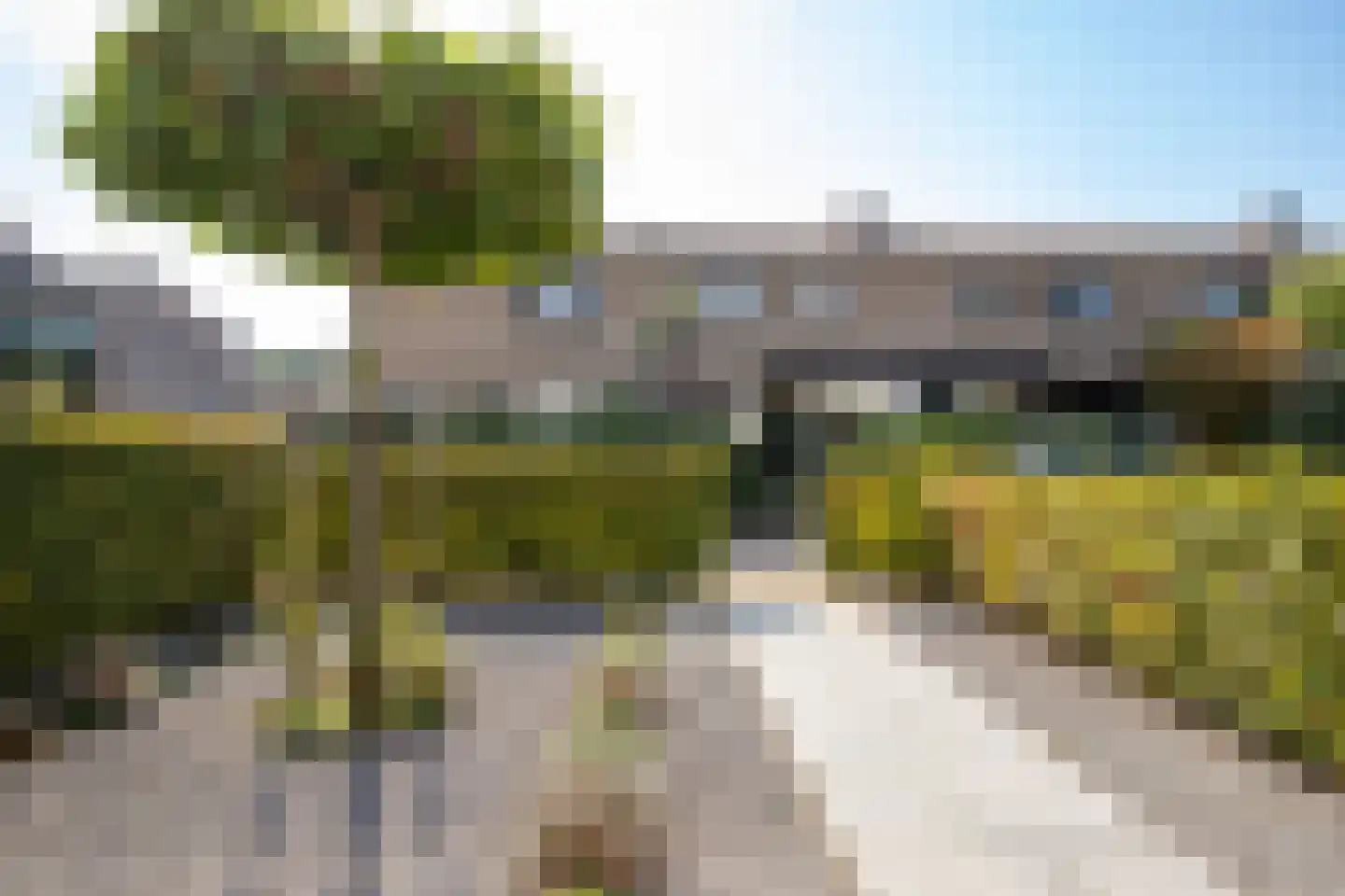 Kamgras 19 Gouda thumbnail 11