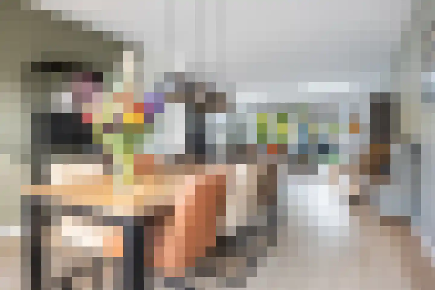 Kamgras 19 Gouda thumbnail 18