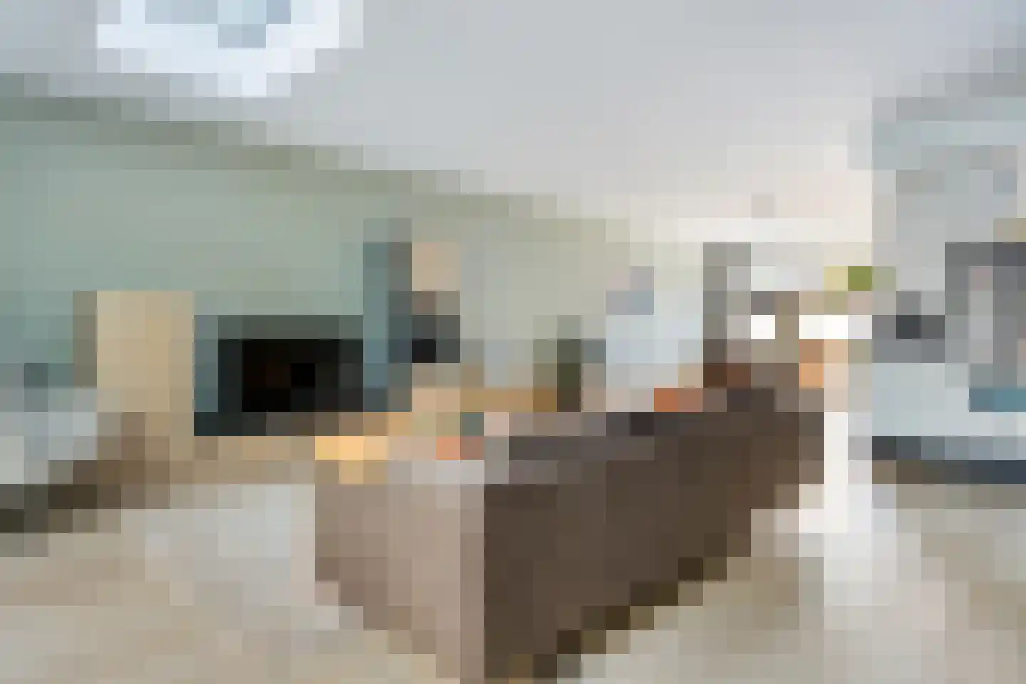 Kamgras 19 Gouda thumbnail 24