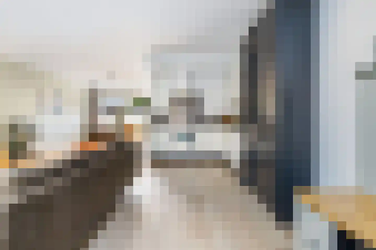Kamgras 19 Gouda thumbnail 27