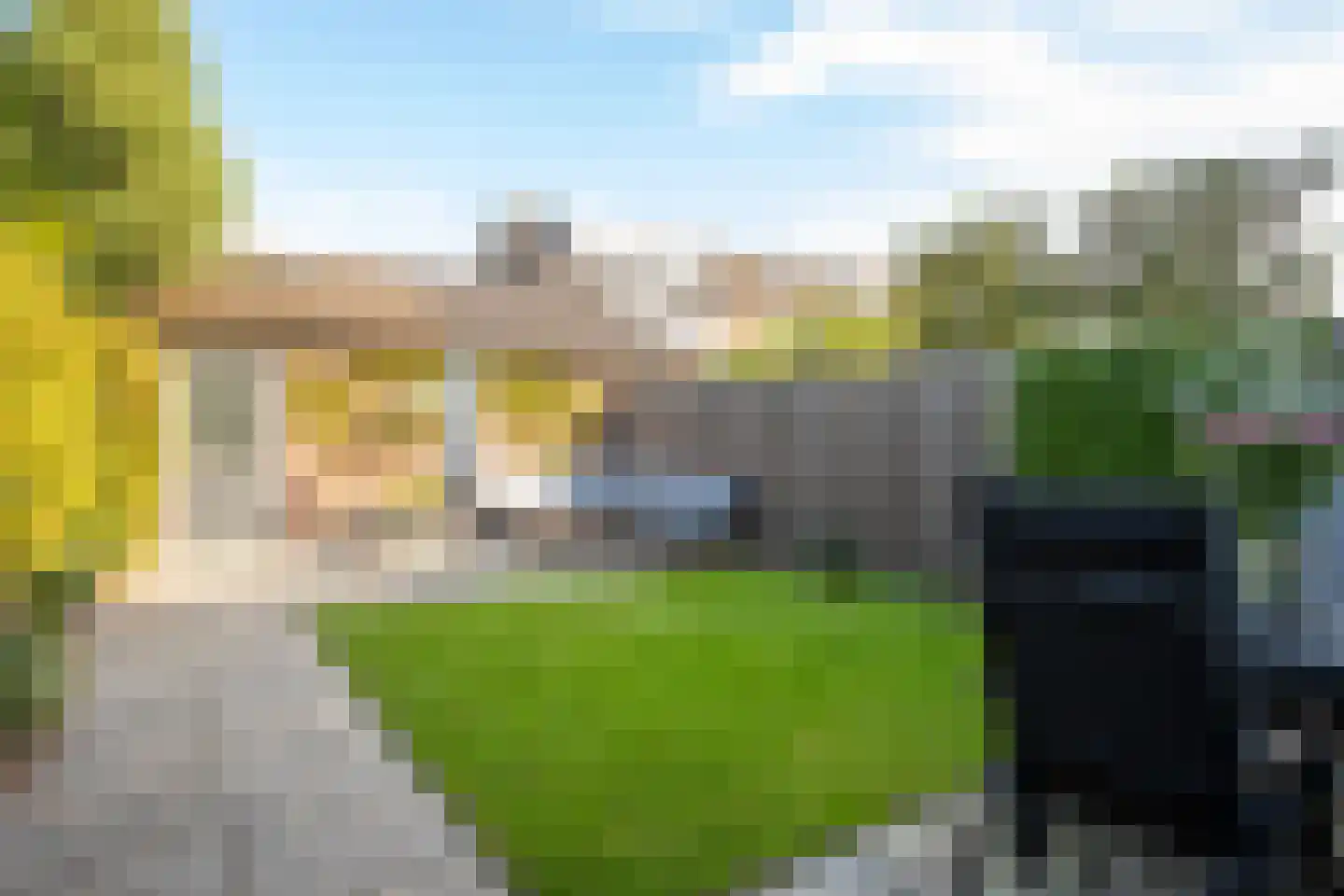 Kamgras 19 Gouda thumbnail 4