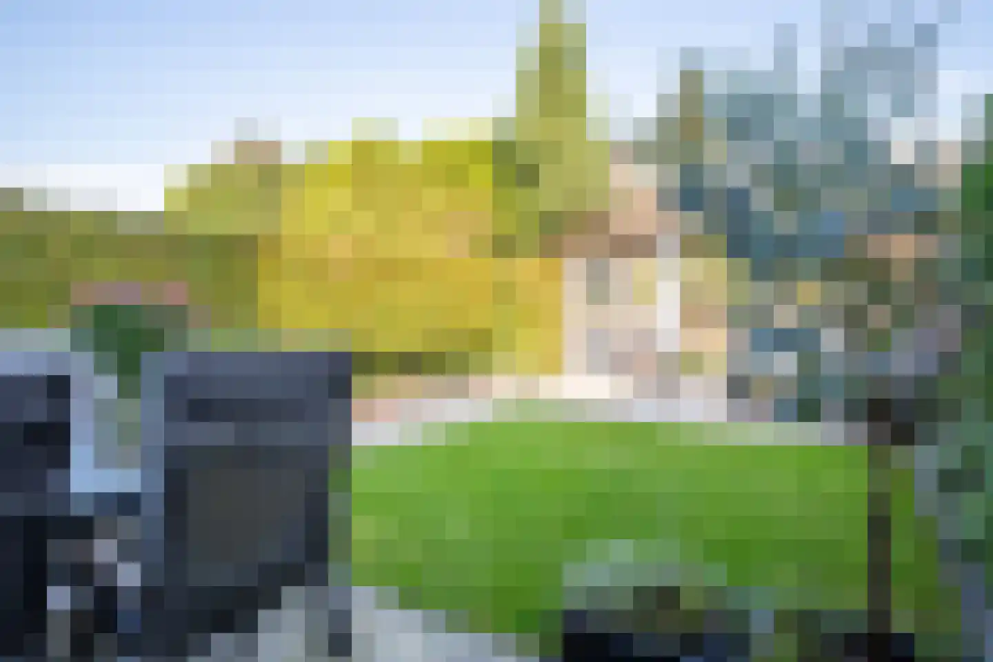 Kamgras 19 Gouda thumbnail 62
