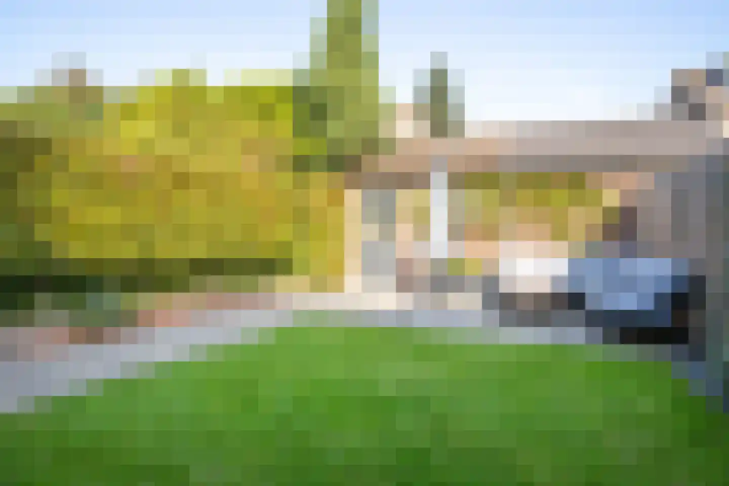 Kamgras 19 Gouda thumbnail 63