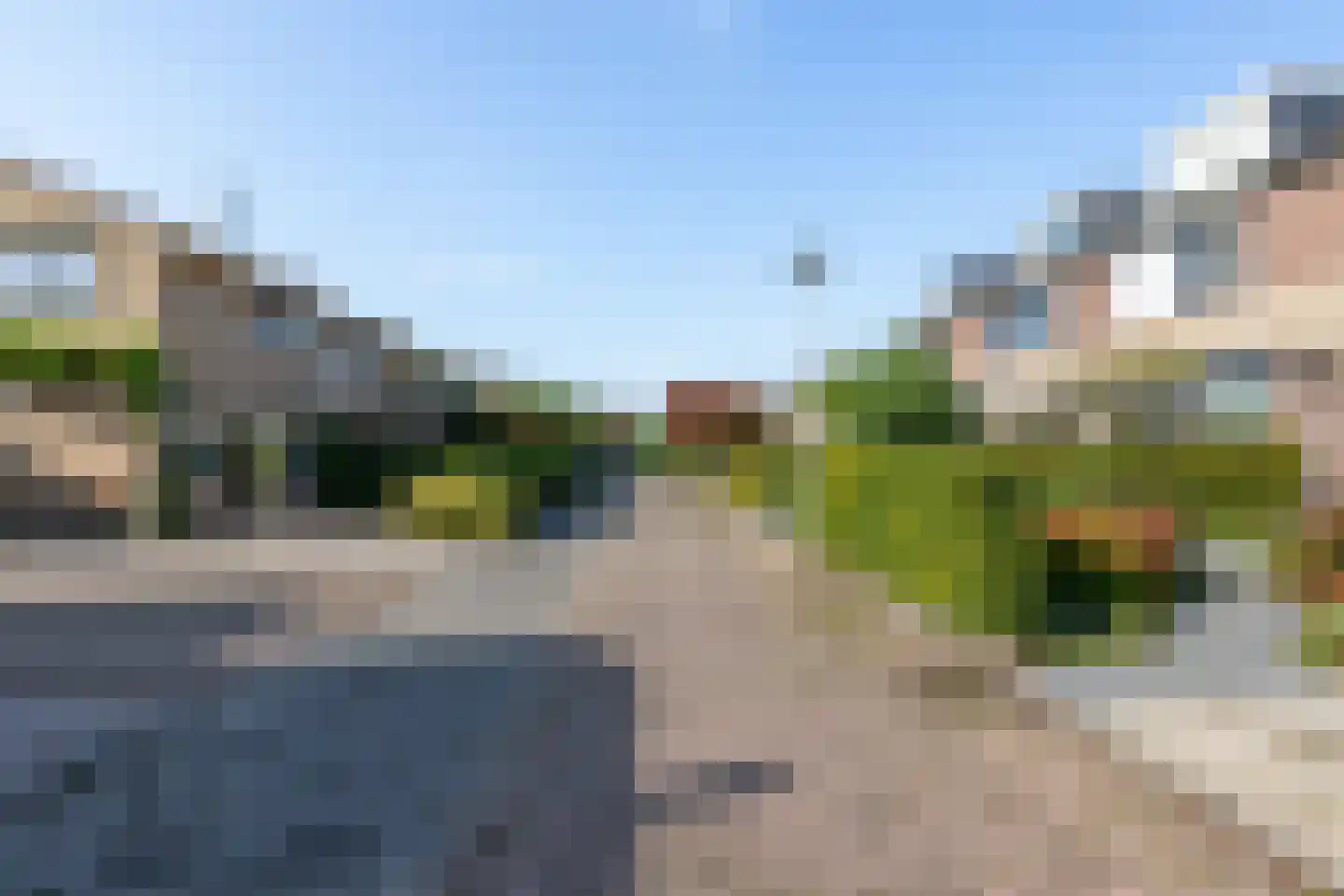 Kamgras 19 Gouda thumbnail 68