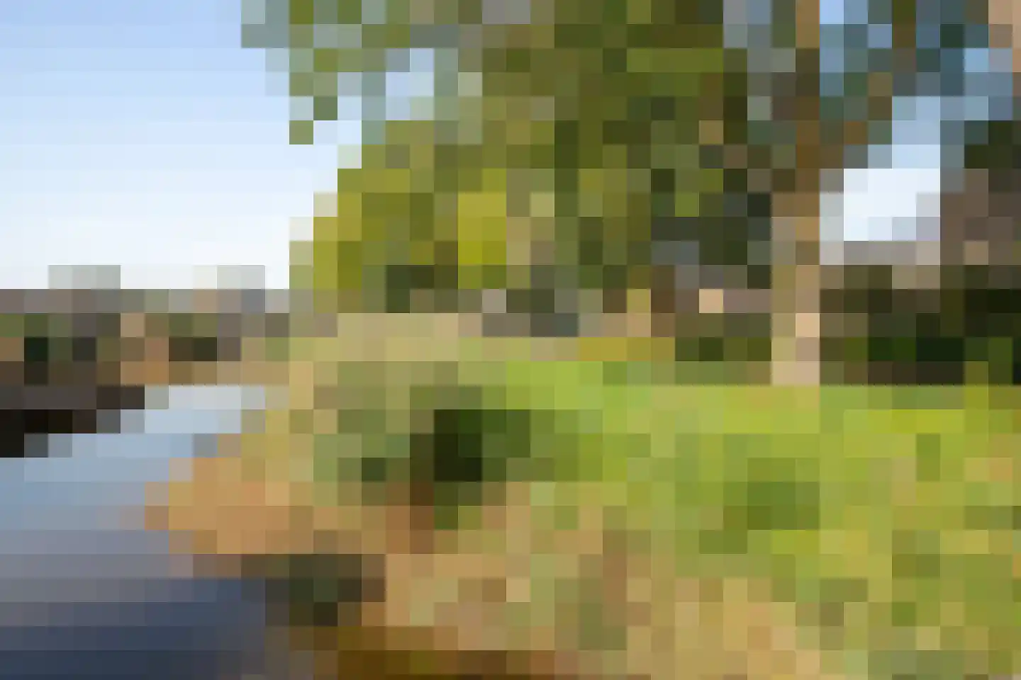 Kamgras 19 Gouda thumbnail 69