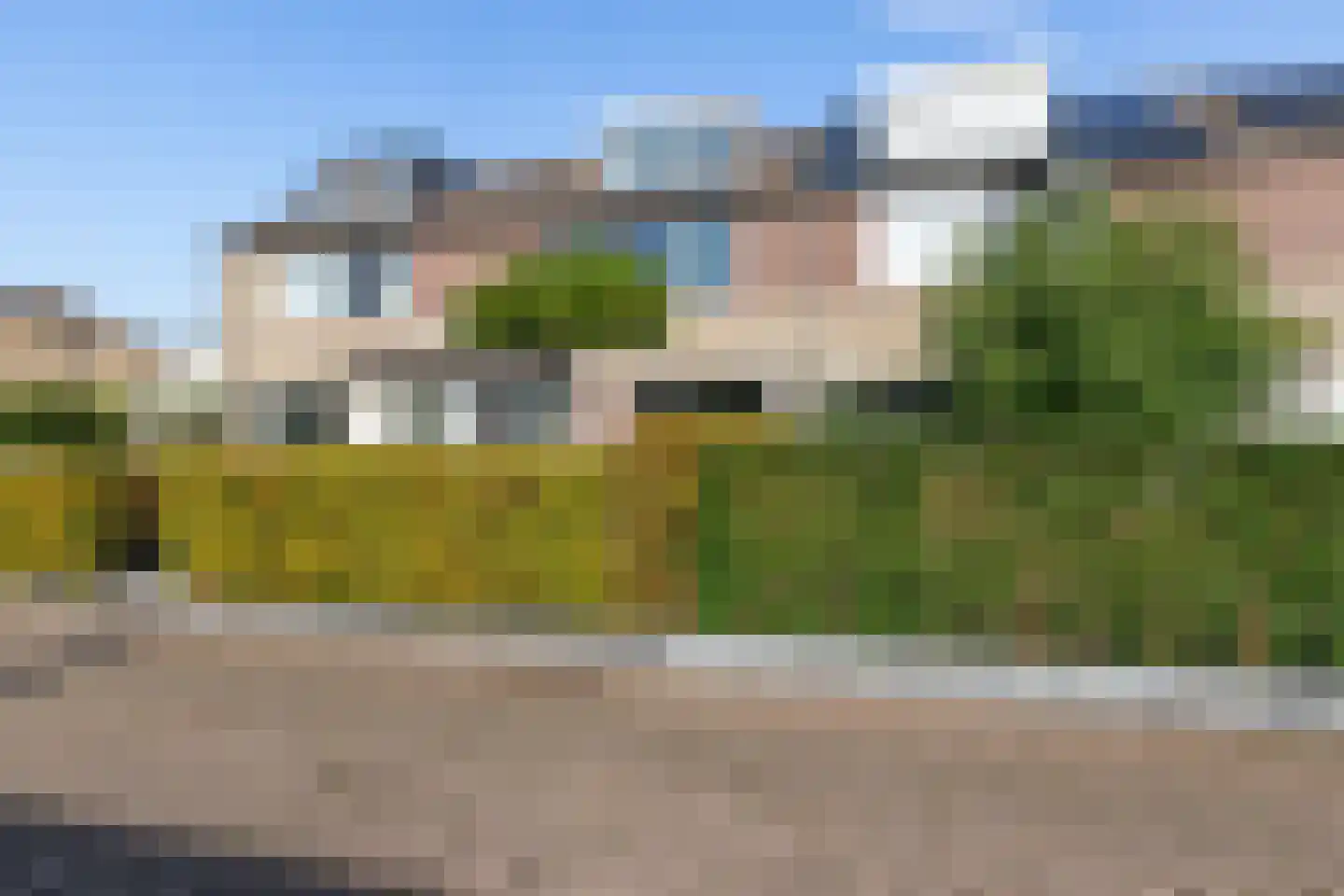 Kamgras 19 Gouda thumbnail 7