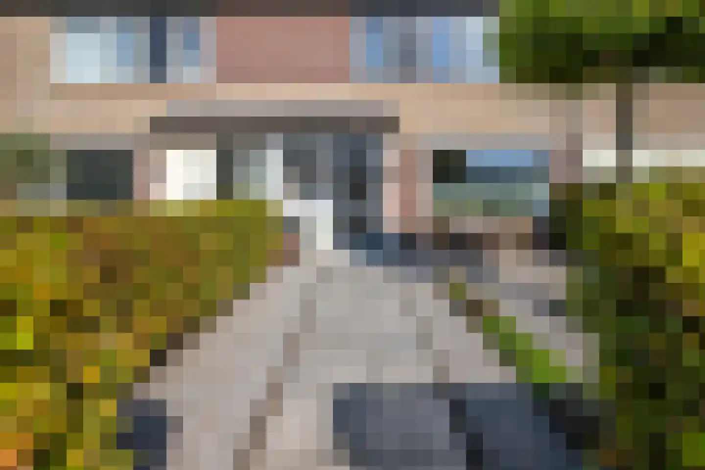 Kamgras 19 Gouda thumbnail 9