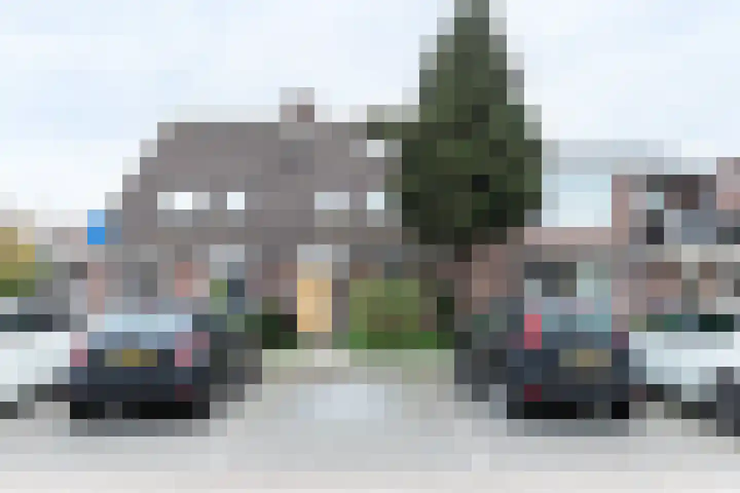 Kamgras 21 Alblasserdam