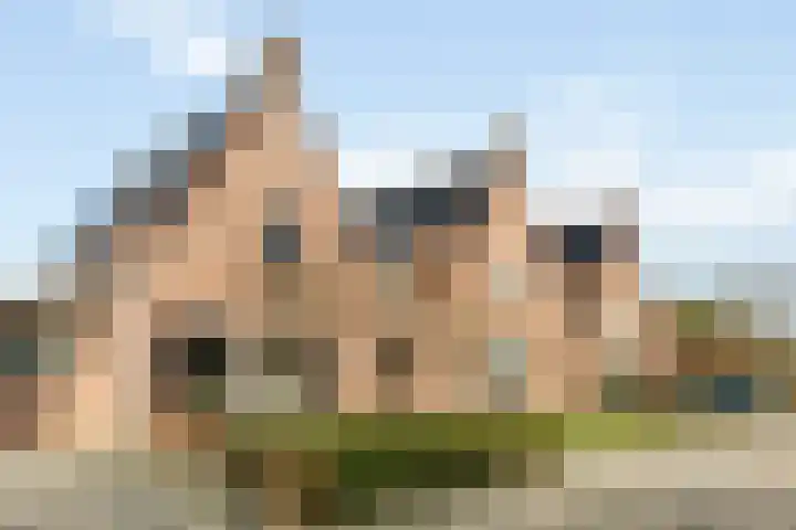 Kamgras 21 Borne thumbnail 4