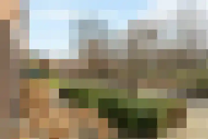 Kamgras 21 Borne thumbnail 5