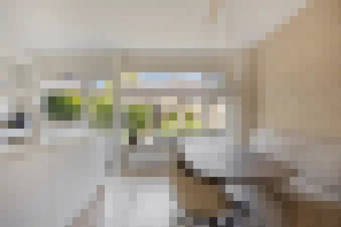 Kamgras 27 Veenendaal thumbnail 18