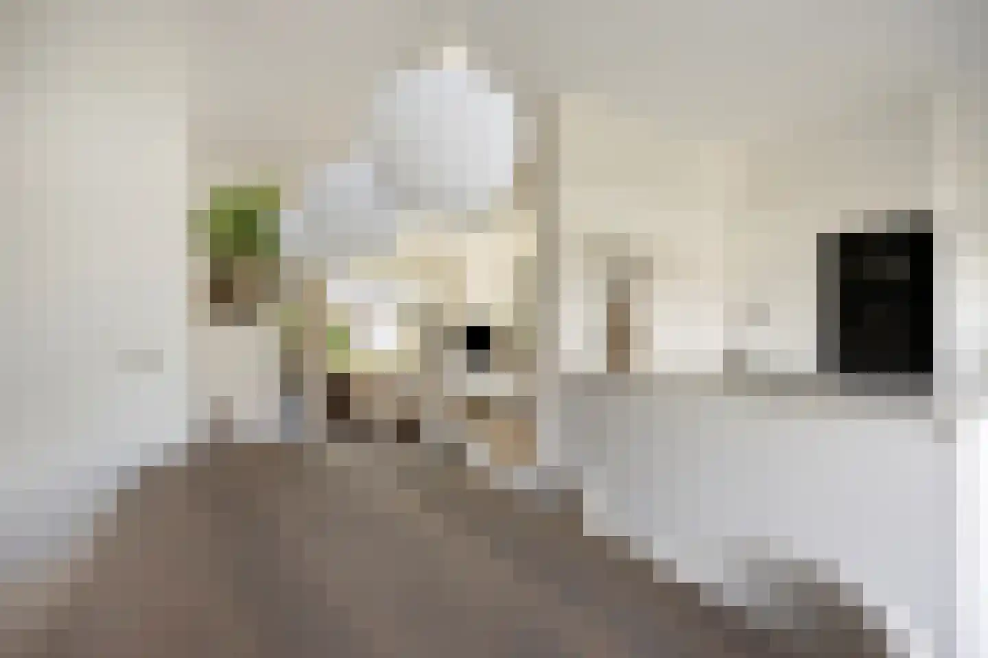 Kamgras 27 Veenendaal thumbnail 27