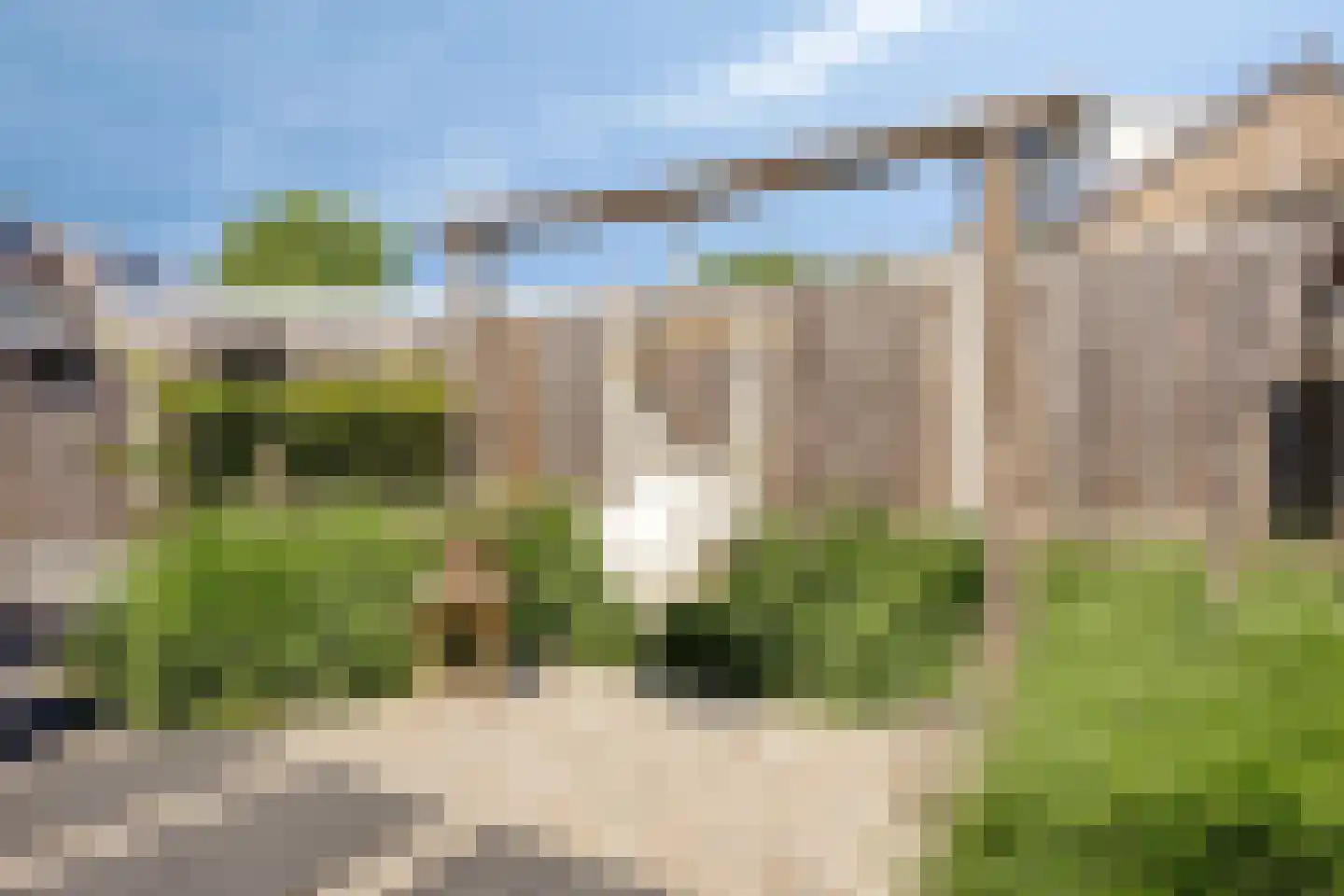 Kamgras 27 Veenendaal thumbnail 49