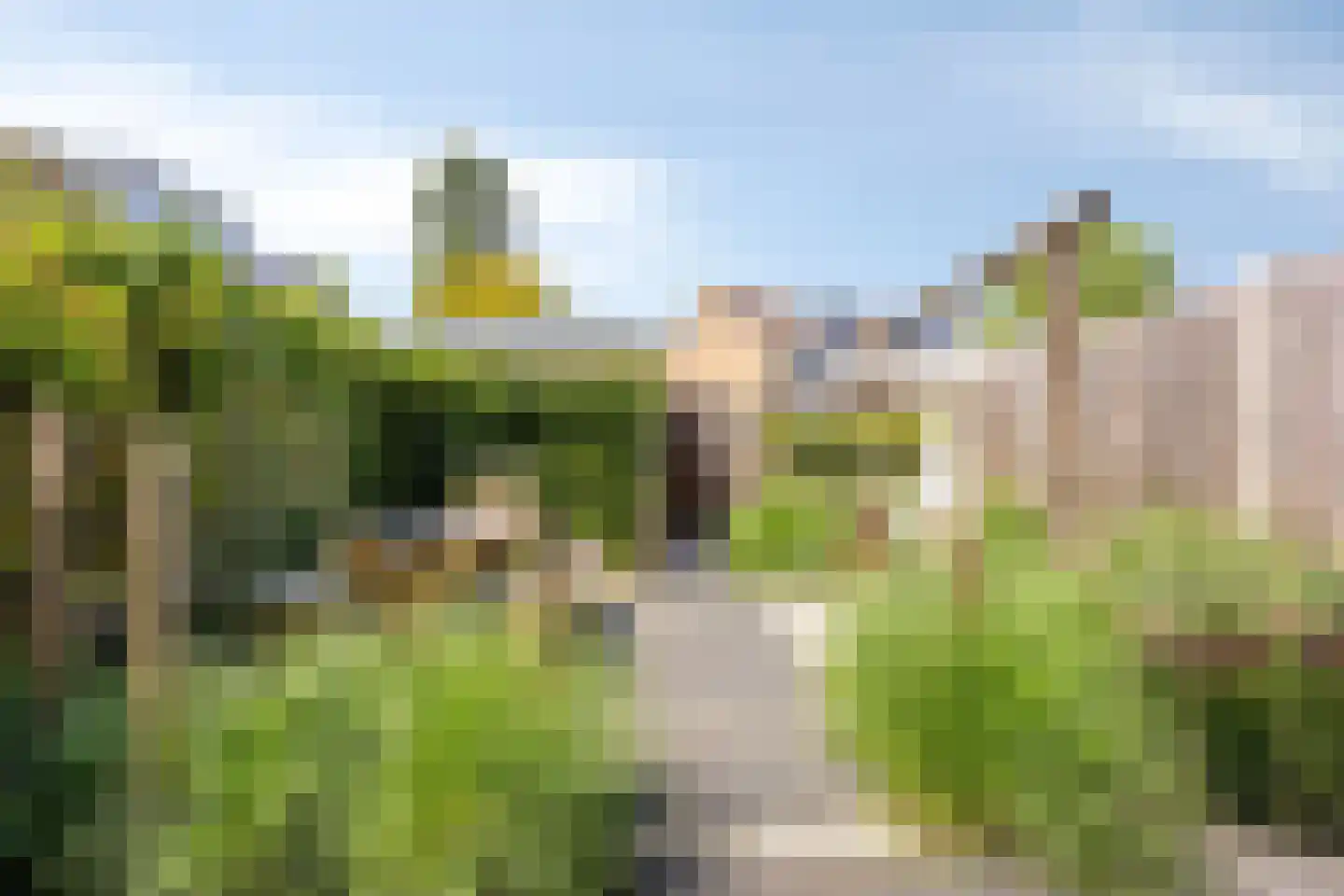 Kamgras 27 Veenendaal thumbnail 5