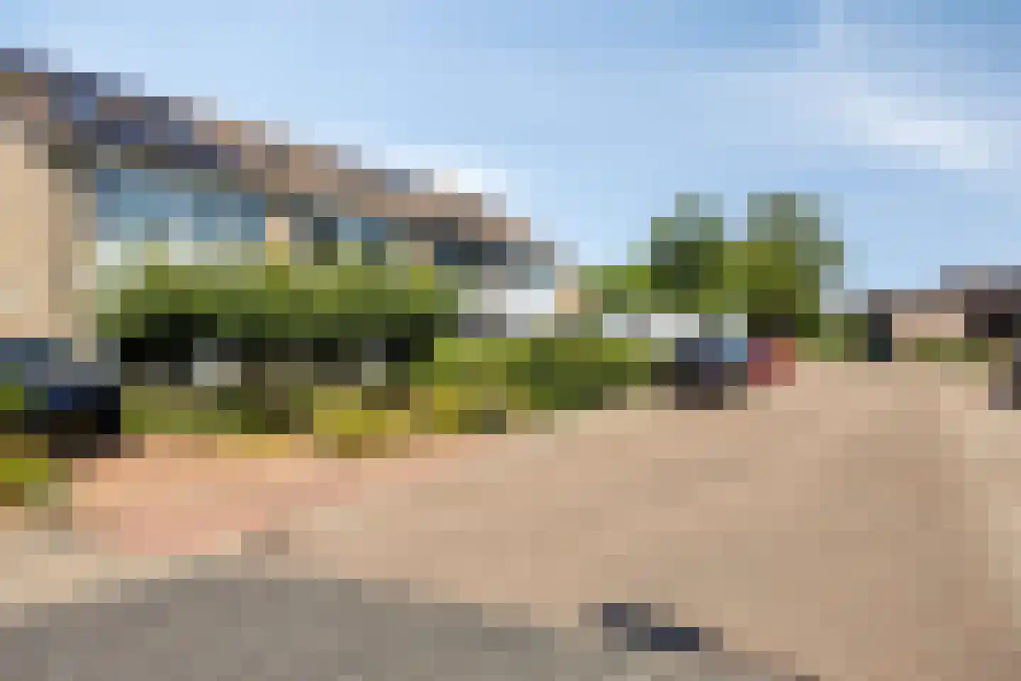 Kamgras 27 Veenendaal thumbnail 52