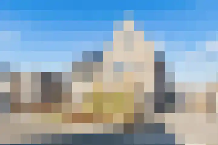 Kamgras 29 Lelystad thumbnail 4