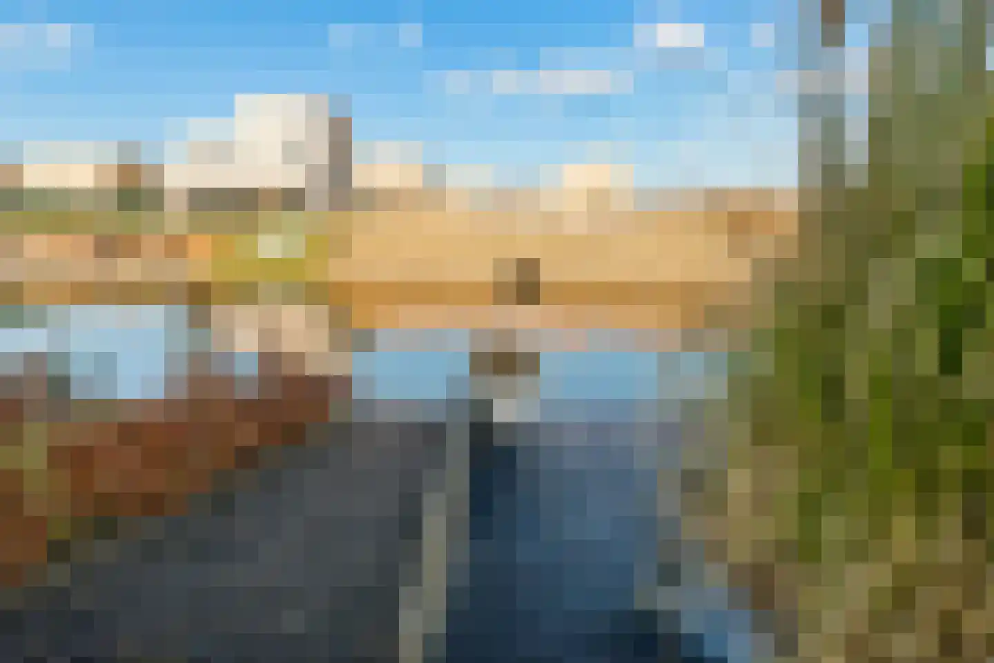 Kamgras 29 Lelystad thumbnail 43