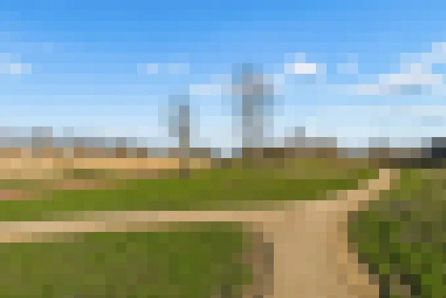 Kamgras 29 Lelystad thumbnail 49