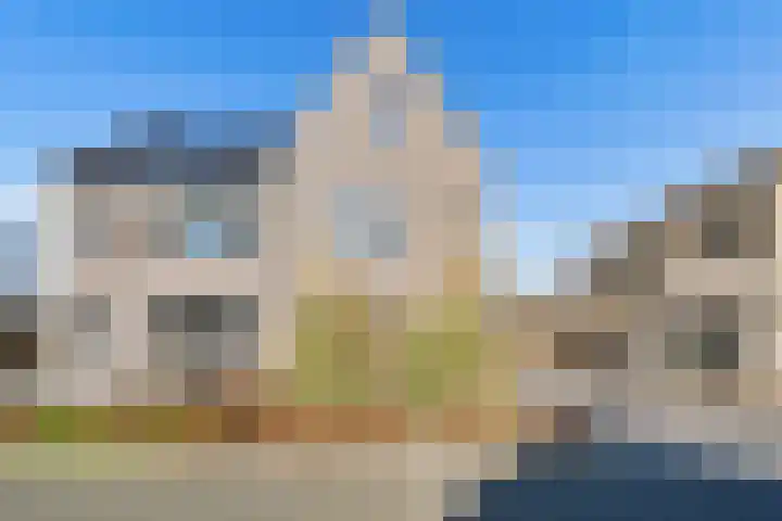 Kamgras 29 Lelystad thumbnail 5