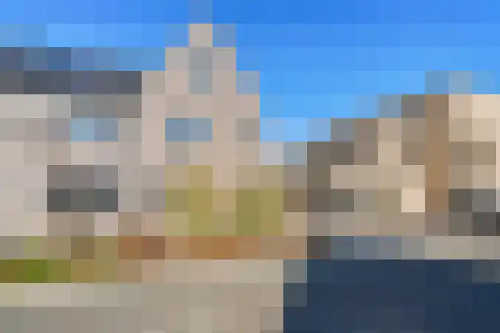 Kamgras 29 Lelystad thumbnail 7