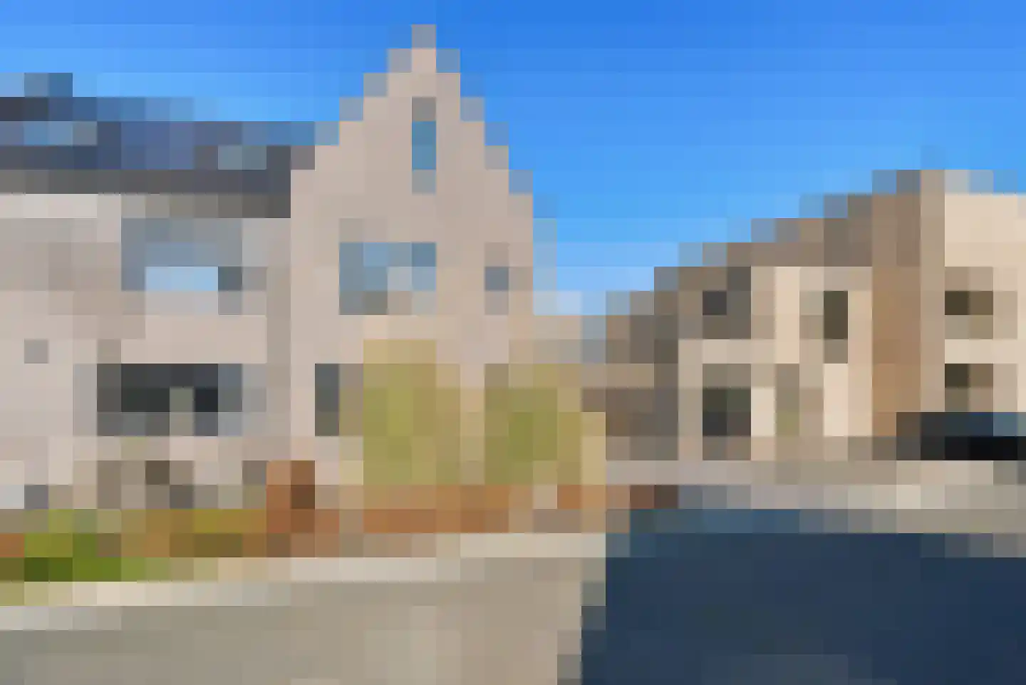 Kamgras 29 Lelystad thumbnail 7