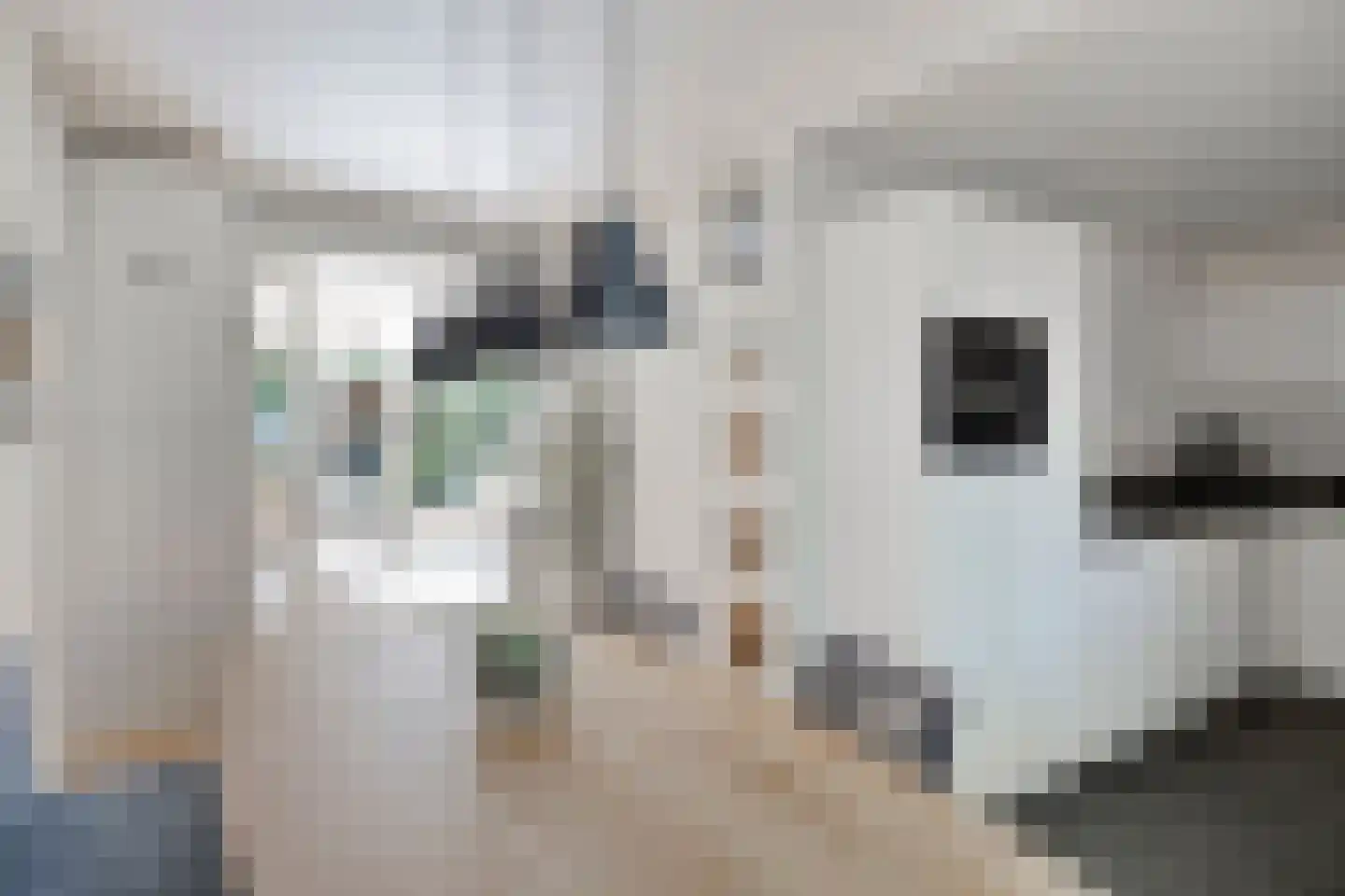 Kamgras 3 Veenendaal thumbnail 11