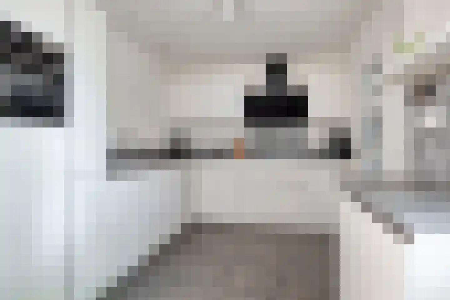 Kamgras 3 Veenendaal thumbnail 12