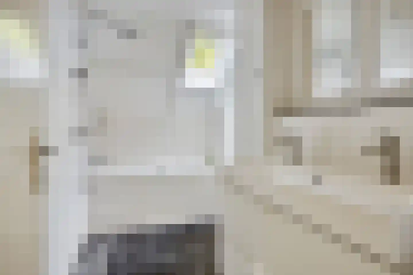 Kamgras 3 Veenendaal thumbnail 21