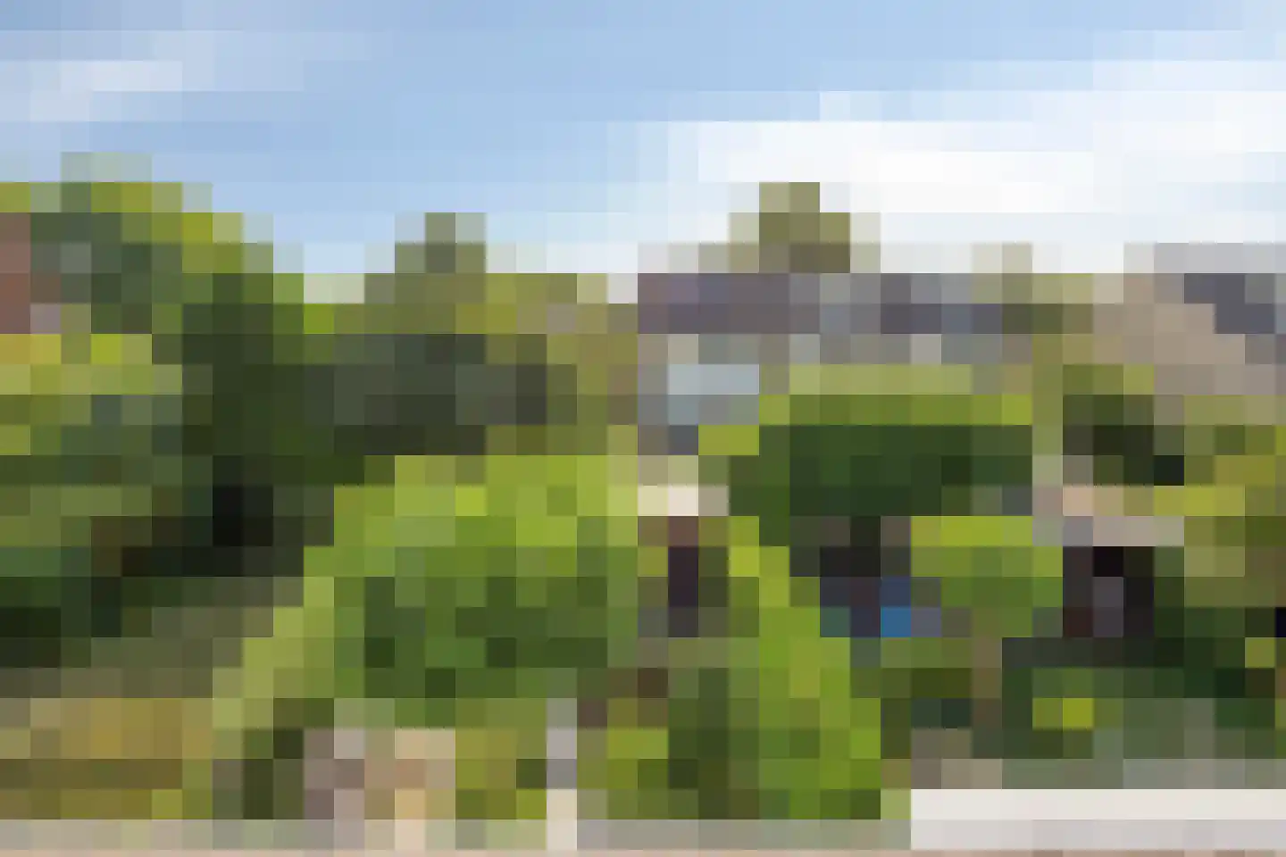 Kamgras 3 Veenendaal thumbnail 28