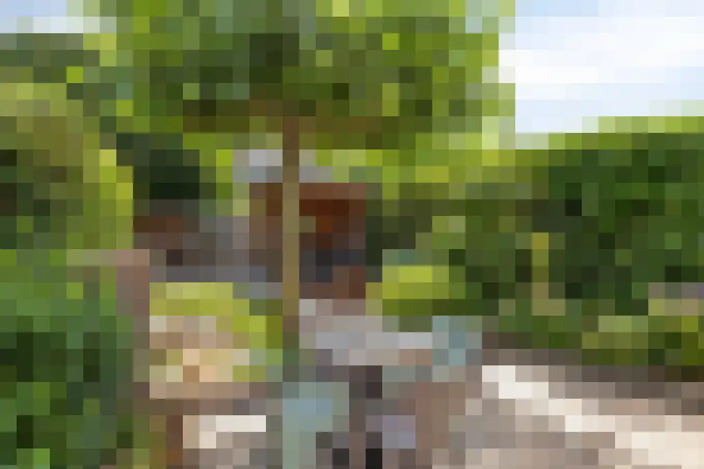 Kamgras 3 Veenendaal thumbnail 29