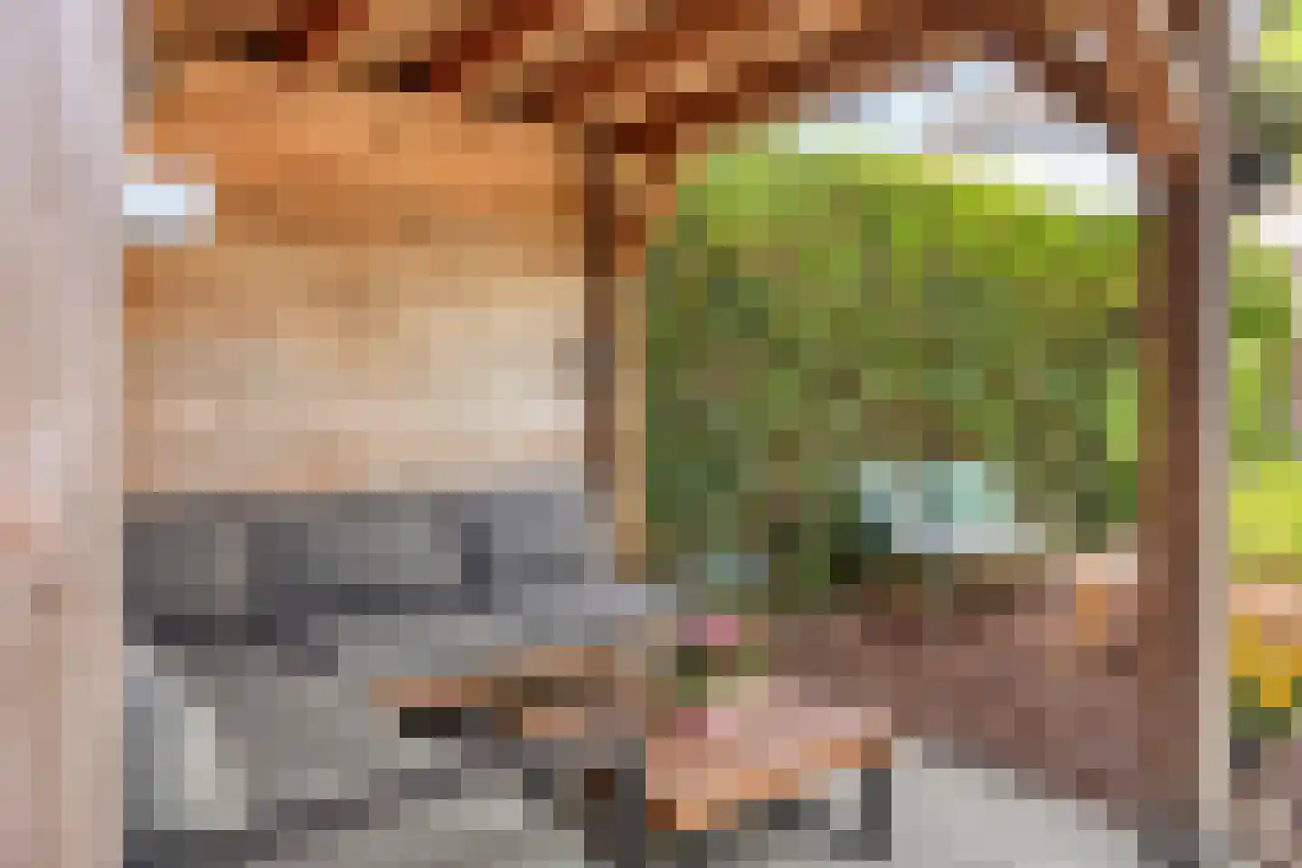 Kamgras 3 Veenendaal thumbnail 31