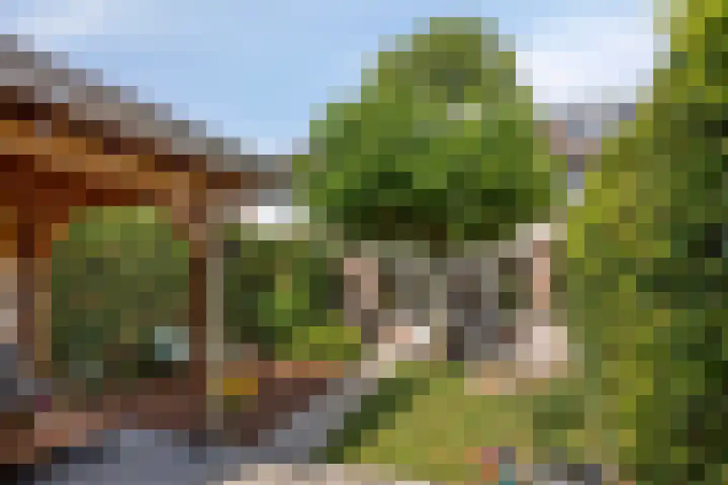 Kamgras 3 Veenendaal thumbnail 32