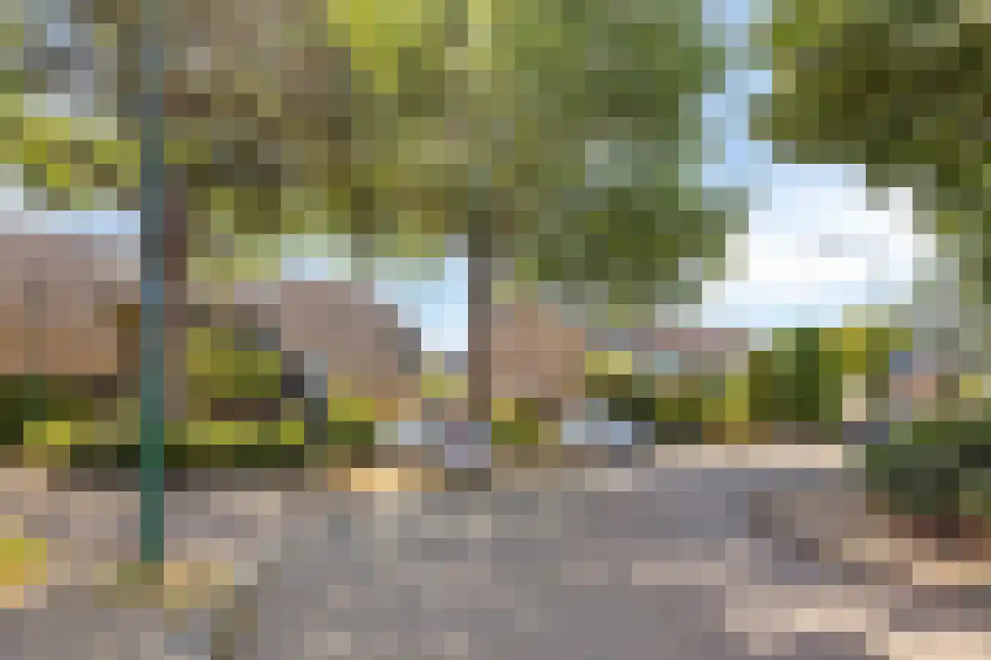 Kamgras 3 Veenendaal thumbnail 33