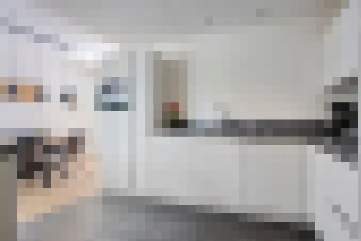 Kamgras 3 Veenendaal thumbnail 4